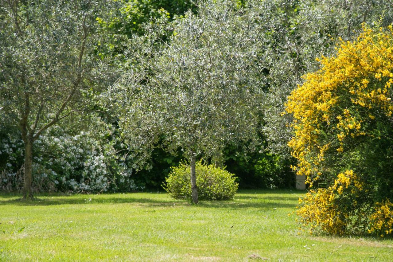 Bed and Breakfast Les Dames De Nage Grand-Champ Exteriér fotografie
